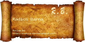 Radics Barna névjegykártya
